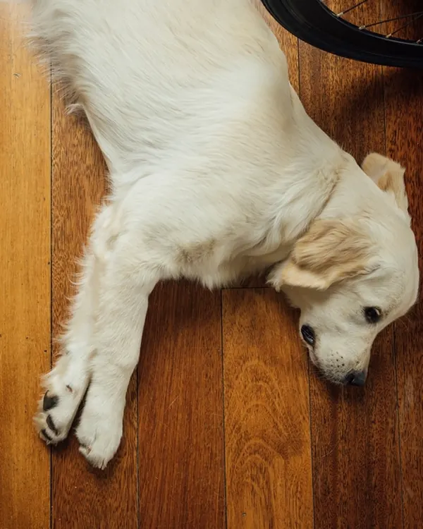 Waiting by the door since 3pm. She said five minutes.