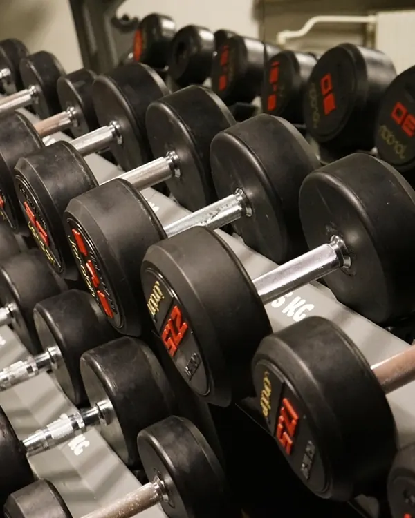Rest days are training days. Sleep is a lift.