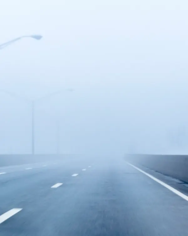 Fog rolled in and the whole city went quiet.